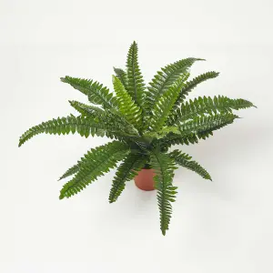 Homescapes Boston Fern in Pot, 45 cm Tall