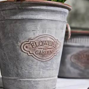 Traditional Style Flower Plant Pot and Garden Metal Planter Bucket