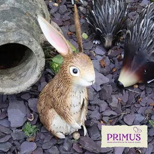 Primus Metal Inquisitive Brown Rabbit