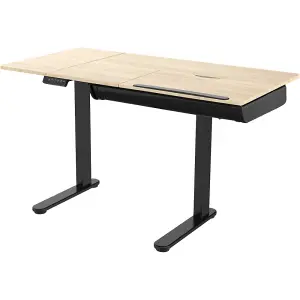 Height Adjustable Black Oak Electric Drafting Desk 1200 x 600mm with Tilt Feature