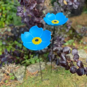 Cast Iron Wild Bird Forget Me Not Flower Dish Bird Feeders (Set of 3)