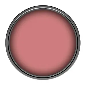 Leyland Trade Vinyl Matt Walls & Ceilings Emulsion Paint Antique Pink (RAL 3014) 350ml Tester