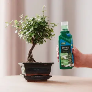 Westland Bonsai Potting Mix Compost Indoor Plant 4 Litres & Feed Concentrate