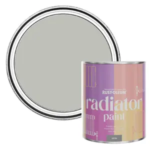 Rust-Oleum Flint Satin Radiator Paint 750ml