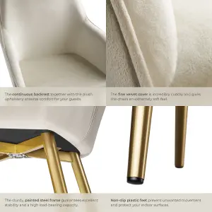 Chair Marilyn - with armrests, padded, velvet look, golden steel legs - cream/gold