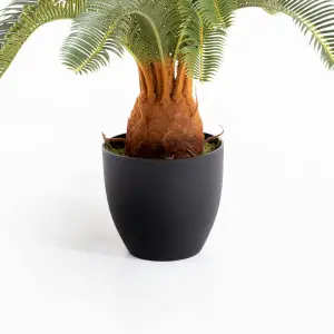 Blooming Artificial - 65cm / 2.25ft Fake Cycas Revoluta