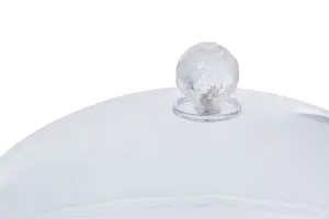 Interiors by Premier Clear Acrylic Cake Stand with Dome Lid, Graceful Glass Cake Stand And Dome Cover, Clear Acrylic Cake Holder