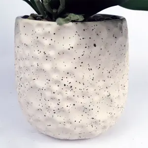 Artificial White Orchid with Ceramic Bubble Planter Botanik