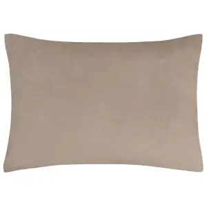 Paoletti Keela Cut Velvet Feather Rich Cushion