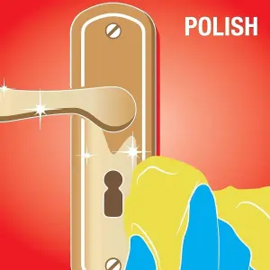 Brasso Metal Polish Liquid For Brass Copper Chrome, 175ml (Pack of 12)