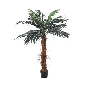 Garden Decoration  Palm Tree in Pot H 120 cm