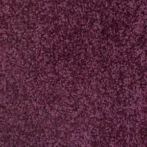 Soft Value Plum Shaggy Area Rug 180x270cm