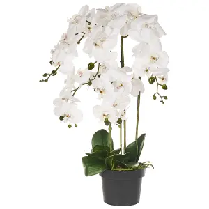 Beliani Retro Artificial Plant NIOKA White