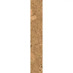 Sample: Beautiful Cork Wall Panels - Natural 1 - 1 Stripe - 30cm x 5cm (11.81in x 1.96in)