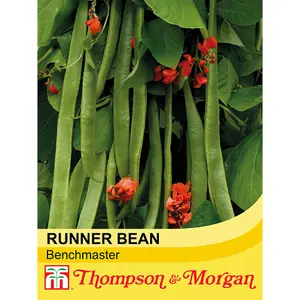 Runner Bean Benchmaster 1 Seed Packet