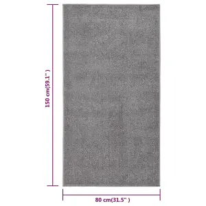 Modern Rug Short Pile 80x150 cm Grey