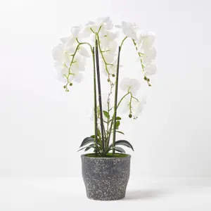 Homescapes White Orchid 82 cm Phalaenopsis in Ceramic Pot Extra Large, 4 Stems