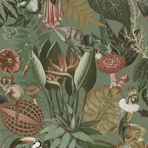 Holden Wonderland Jungle Floral Birds Exotic Sage Green Smooth Wallpaper