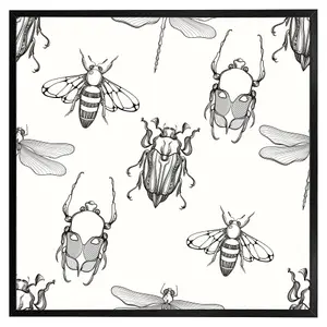 Sketch of scarab beetle, may bug, bee and dragonfly (Picutre Frame) / 20x20" / Grey