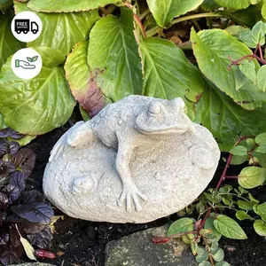 Frog On Rock Small Garden Ornament