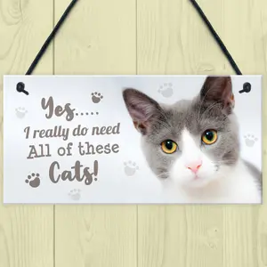 Red Ocean Really Do Need All These Cats Sign Funny Crazy Cat Lady Sign Pet Lover Gift