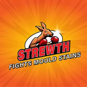 Strewth - Mould Stain Remover Foam Action Spray, Removes Mouldy Stains From Walls, Tiles, Silicone Seals & More - 500ml