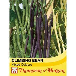 Climbing French Bean Mixed colour 1 Seed Packet