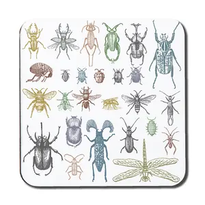 big set of insects bugs beetles and bees many species in vintage old hand drawn style (Coaster) / Default Title