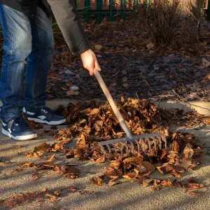 Hardys Soil, Gravel, Leaves & Garden Rake Head - Carbon Steel & 12 Tines, Fits Most Poles, Screw Hole for Secure Fit, 30cm Wide