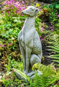 Single Whippet Dog Garden Statue