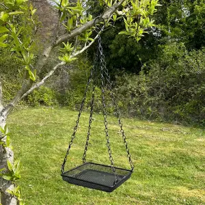 Hanging Metal Bird Seed & Nut Feeder Tray