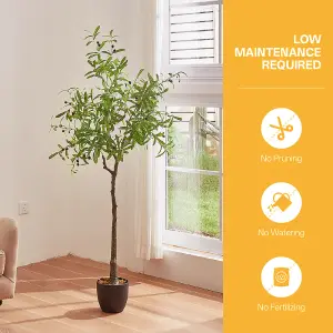 175cm H Artificial Olive Tree Decorative Plant in Planter Suitable for Office Living Room Outdoor