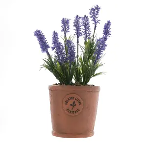 Country Living Aged Herb Pot - Lavender