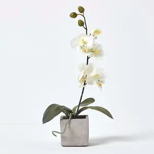 Homescapes Set of 2 Cerise Pink & White Artificial Orchids in Pots, 40 cm