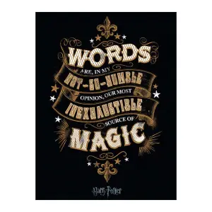 Harry Potter Words Canvas Print Black/White/Gold (80cm x 60cm)