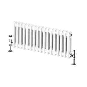 Braxton White Double Horizontal Column Radiator - 300x785mm