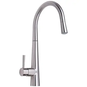 Astini Palazzo Brushed Steel LED Light Pullout Rinser Kitchen Sink Tap