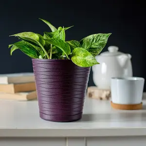 Plant Pot Flowerpot Wave Plastic Crystal Modern Decorative Plum 15cm