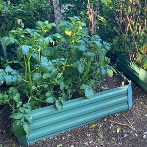 Set of 2 x Metal Raised Vegetable Beds in Green (100cm x 30cm)