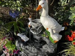 Duck Family Animal Fountain Mains Plugin Powered Water Feature