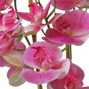 70cm Artificial Orchid Light Pink with Black Ceramic Planter