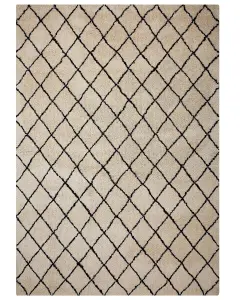 Area Rug 160 x 230 cm Beige and Black MIDYAT