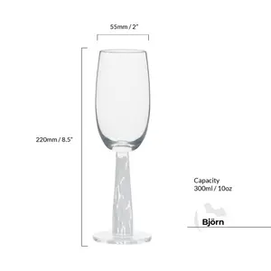 Björn Champagne Flutes (Set of 2)