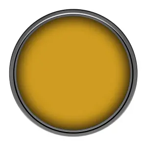 Leyland Trade Vinyl Soft Sheen Walls & Ceilings Emulsion Paint Honey Yellow (RAL 1005) - 5L