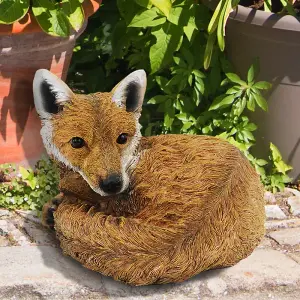 Curled up Fox Ornament - Weather Resistant Hand Painted Outdoor Garden Animal Sculpture Statue Decoration - H21 x W30cm x D24cm