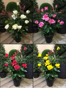 Best Artificial 2ft - 65cm Multi-colour Decorative Rose Plant for house home garden or office