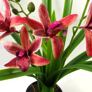 50cm Large Dark Pink Artificial Orchid in Ceramic Planter