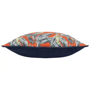 Wylder Ebon Wilds Nkiru Piped Feather Rich Cushion