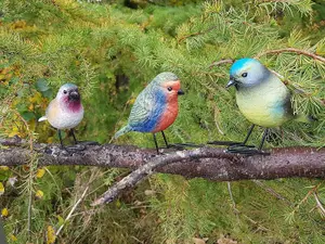 Set of 3 Small Bird Figurines for the Garden - Colourful Wildlife Garden Decorative Ornaments