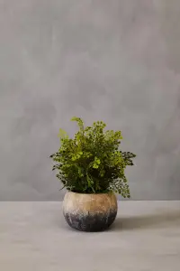 Fiori Fern With Cement Pot Artificial Plant Foliage